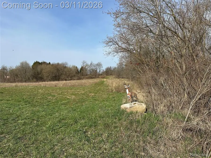 4810 Plain Rd, Silverwood, MI 48760 - #3