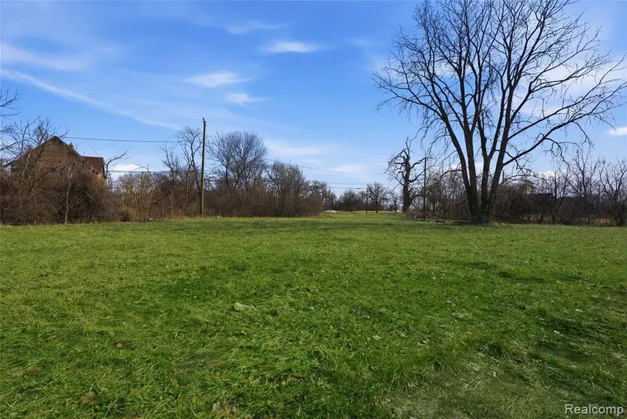 540 Concord, Detroit, MI 48207 - #2