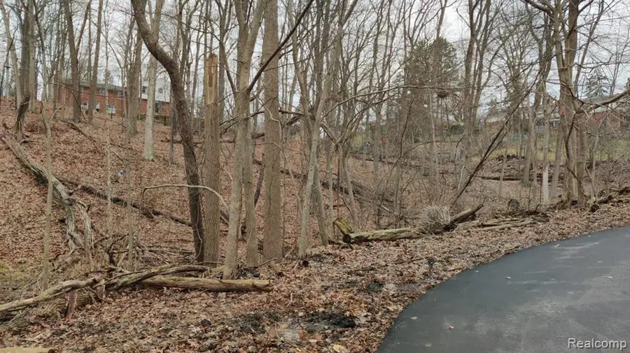 Lot 149 Breer, Bloomfield Hills, MI 48302 - #3