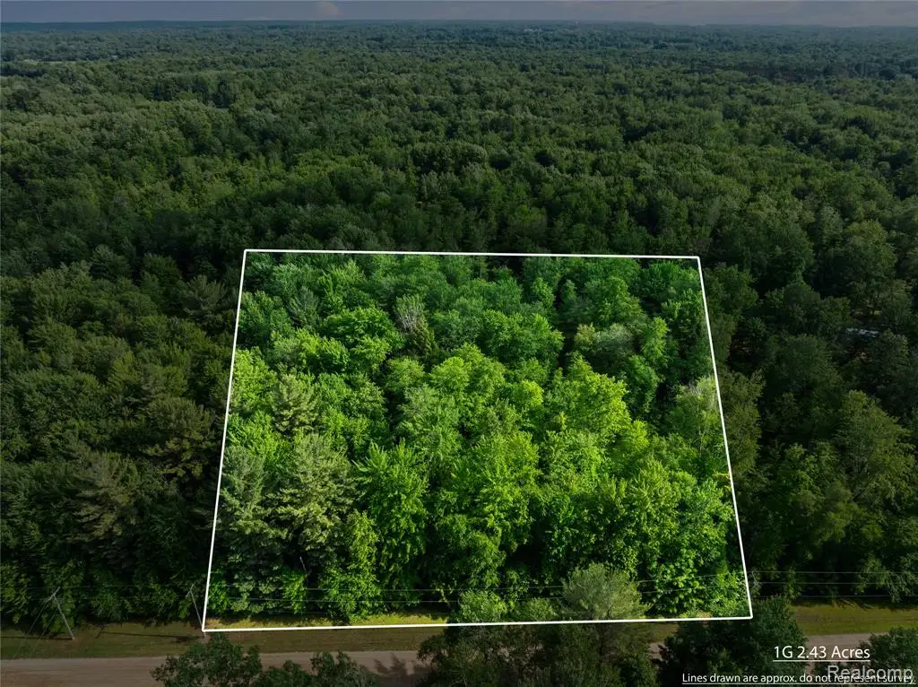 #0015 V/l Birch, Vassar, MI 48768 - #1