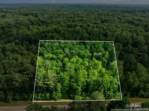 #0015 V/l Birch, Vassar, MI 48768