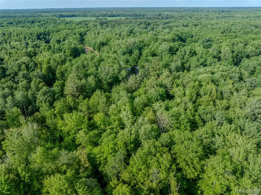 #0015 V/l Birch, Vassar, MI 48768 - #2