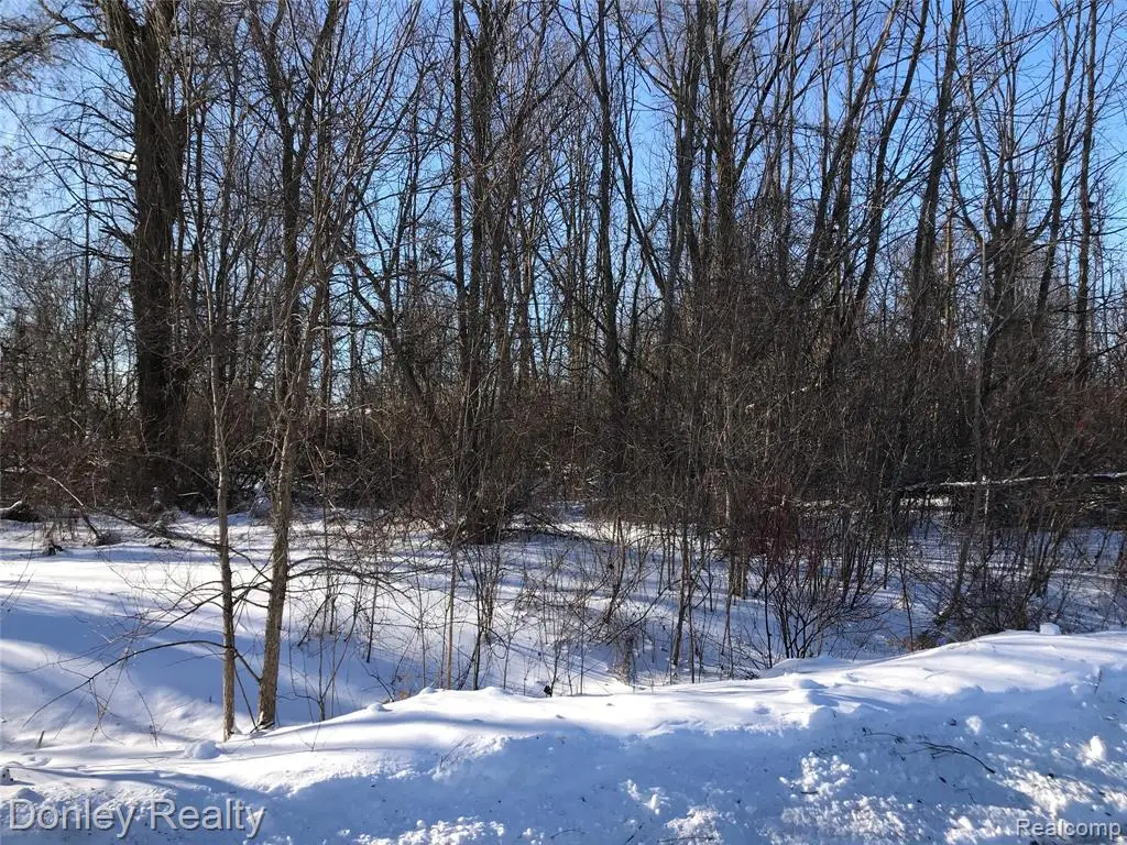 20 Vacant Lots Concord, Cranbrook & Tulane, Marlette, MI 48453 - #1