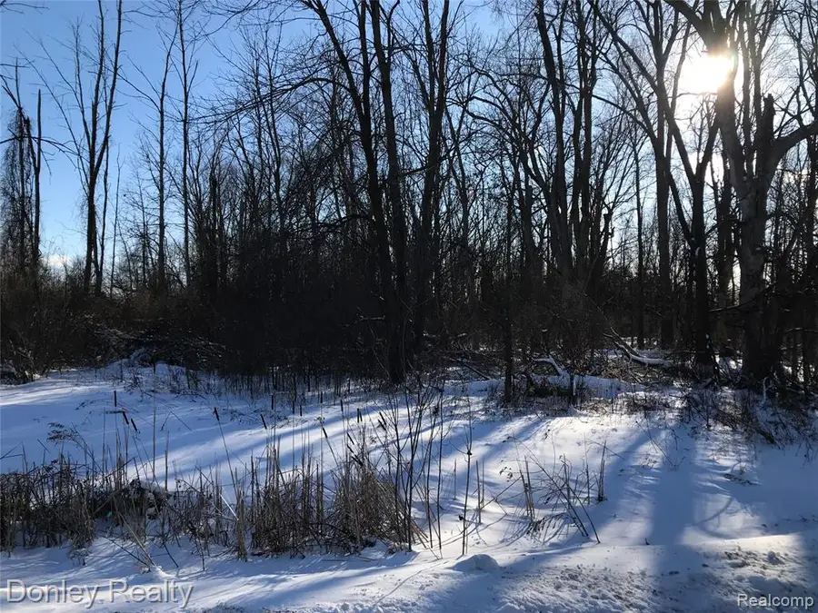 20 Vacant Lots Concord, Cranbrook & Tulane, Marlette, MI 48453 - #2