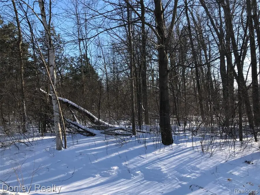 20 Vacant Lots Concord, Cranbrook & Tulane, Marlette, MI 48453 - #3