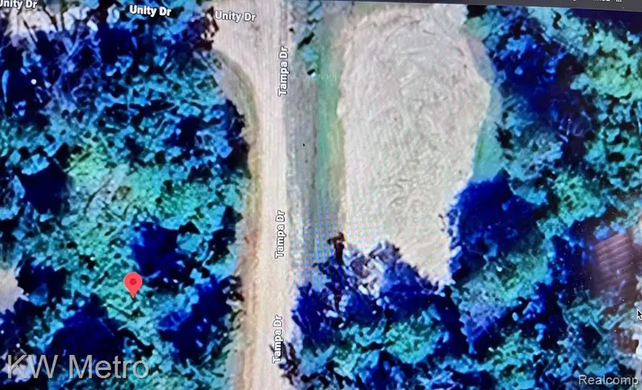 6629 S Tampa, Idlewild, MI 49642 - #2