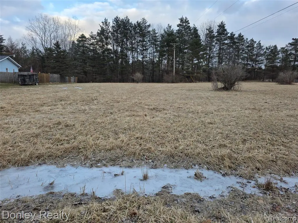 V/L Lorraine Street, Marlette, MI 48453 - #1