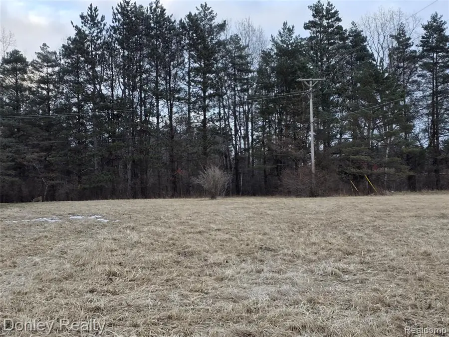 V/L Lorraine Street, Marlette, MI 48453 - #2