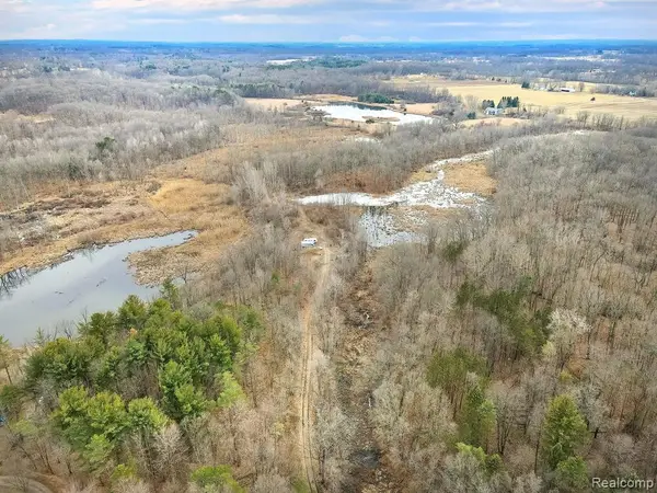 0 Lovejoy, Byron, MI 