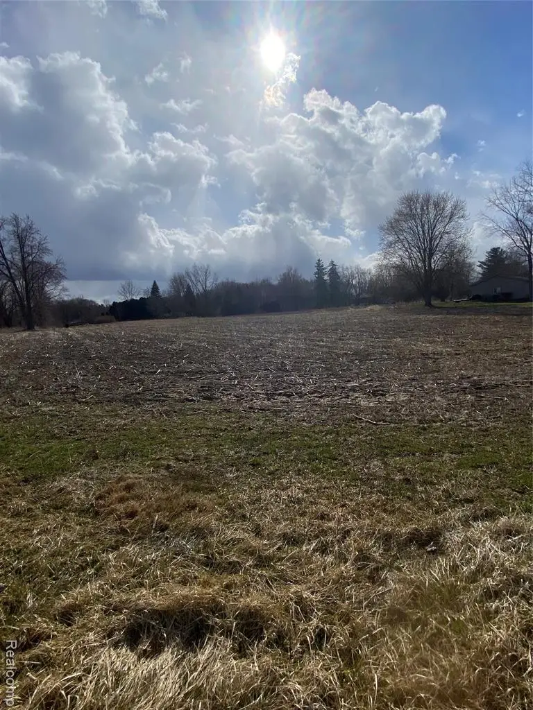 7036 Rea, Almont, MI 48003 - #1