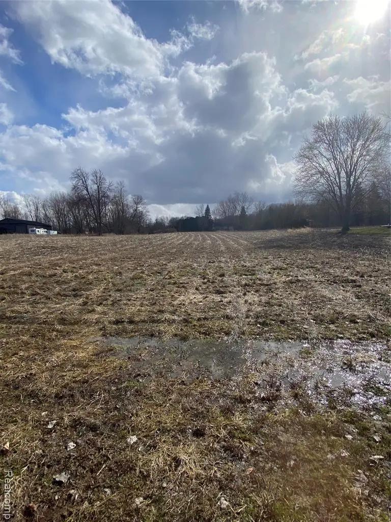 7036 Rea, Almont, MI 48003 - #2