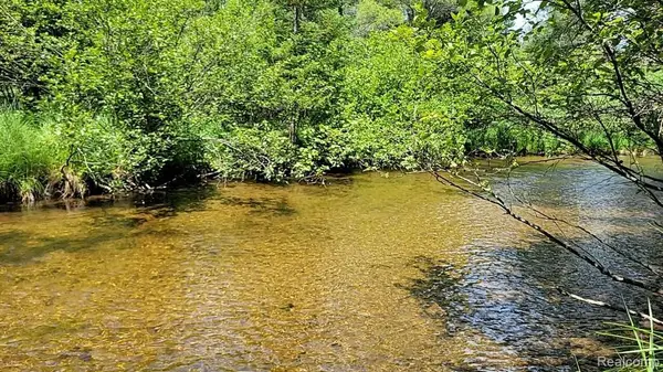 0 Palmer, Grayling, MI 