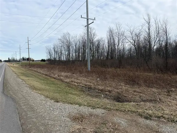 3155 Peck, Brown City, MI 48416