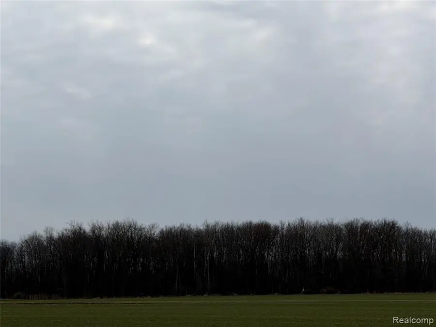 3155 Peck, Brown City, MI 48416 - #3