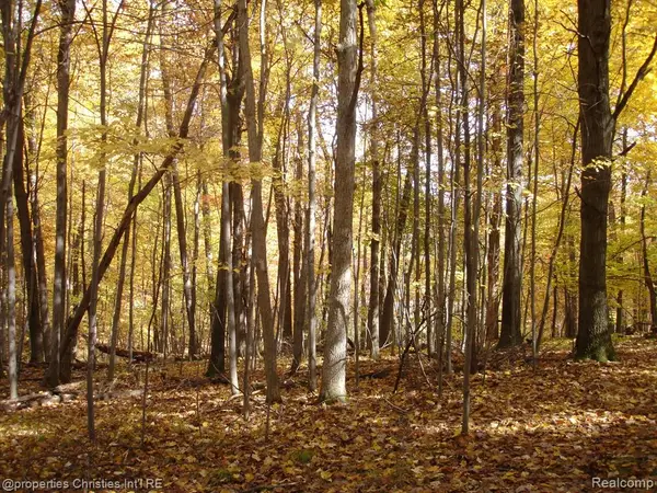 1451 Barrwood, Oxford, MI 48371