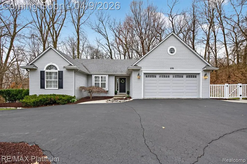 230 Leith, Brighton, MI 48116 - #1
