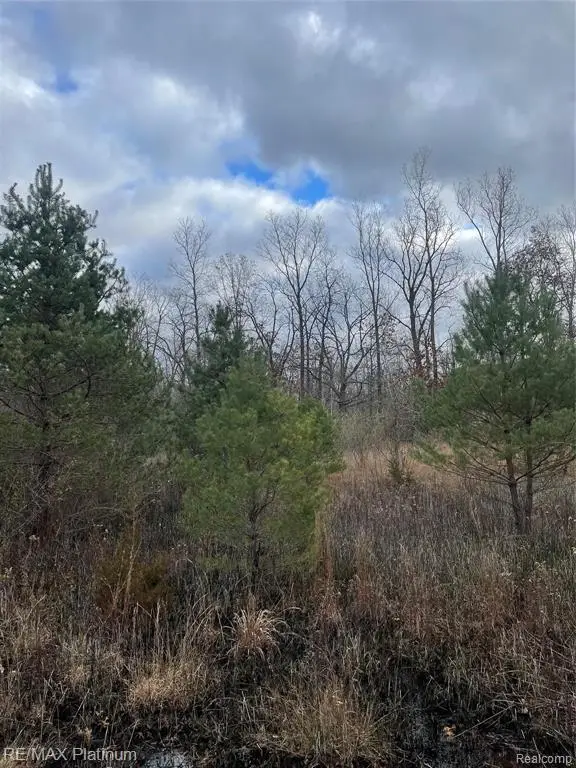 0 Seymour, Linden, MI 48451