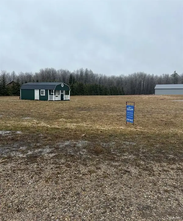 405 E Osceola, Lake City, MI 49651