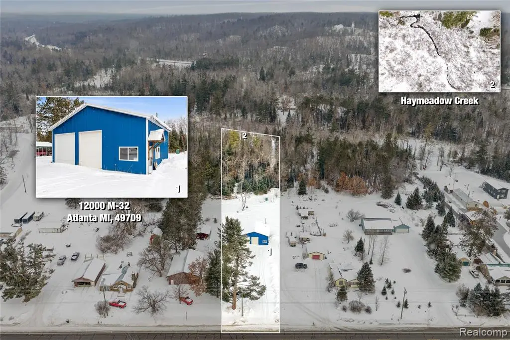 12000 M-32, Atlanta, MI 49709 - #1