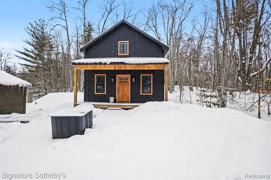 229 Forest, Leroy, MI 49655 - #2