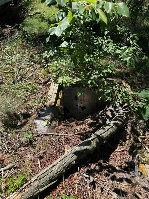 1022 Pine Ridge, Mio, MI 48647 - #3