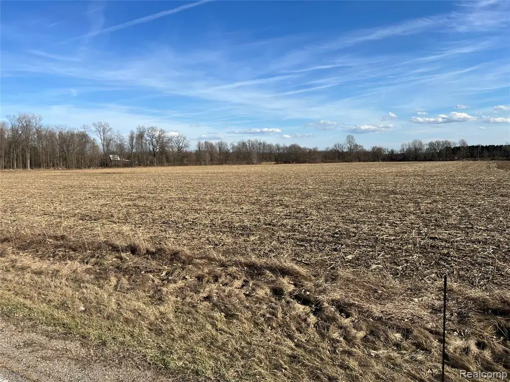 20 Acres Vacant Vernor Rd, Lapeer, MI 48446 - #1