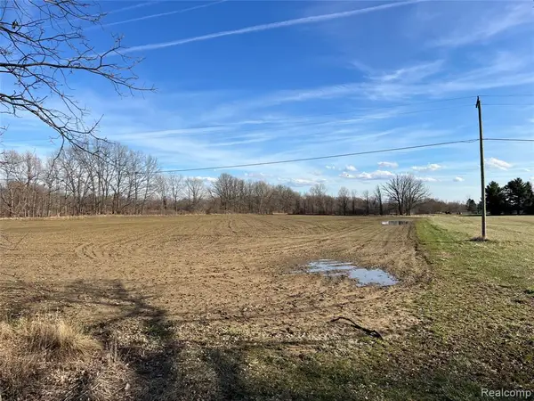 24.95 Acres Vac Vernor, Lapeer, MI 48446