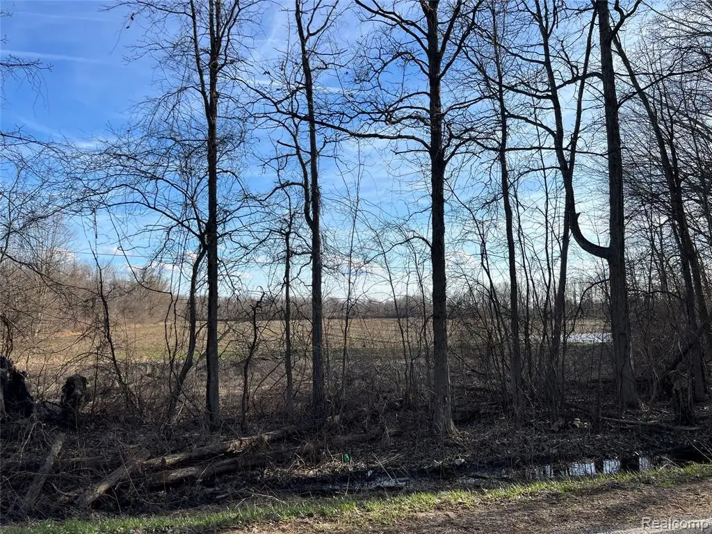 10 Acres Vacant Vernor, Lapeer, MI  - #1