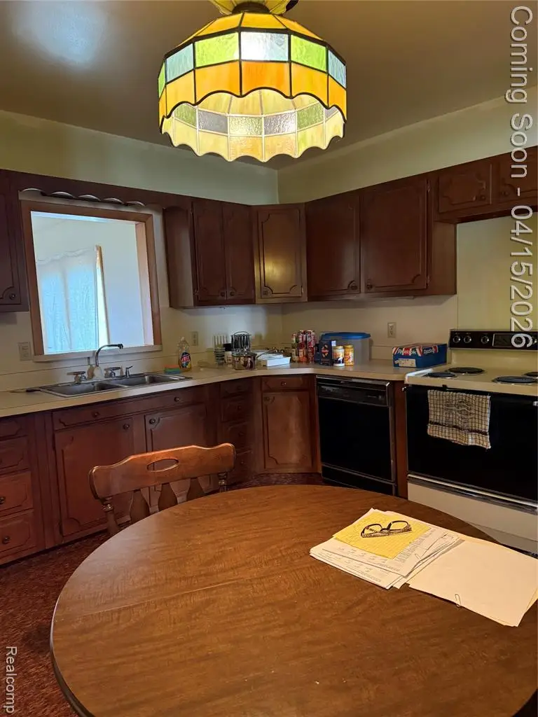 241 Ray, Montrose, MI 48457 - #2