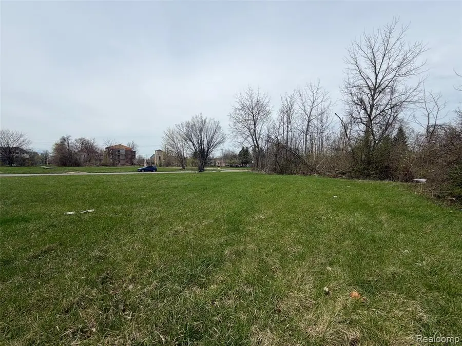 688 Field, Detroit, MI 48214 - #2