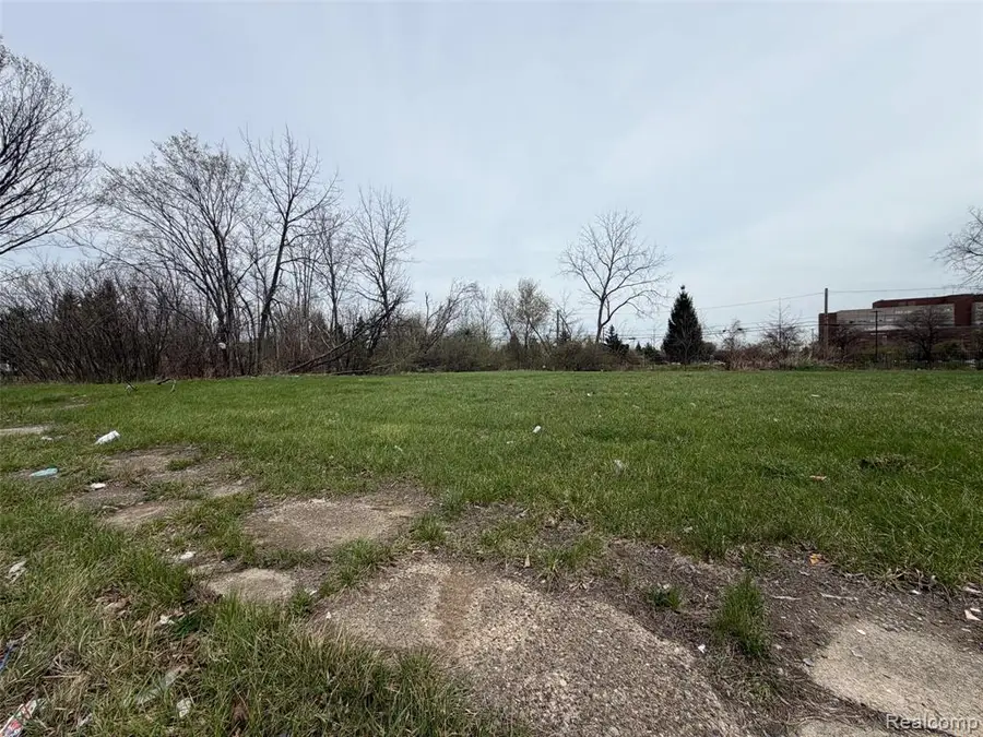 688 Field, Detroit, MI 48214 - #3