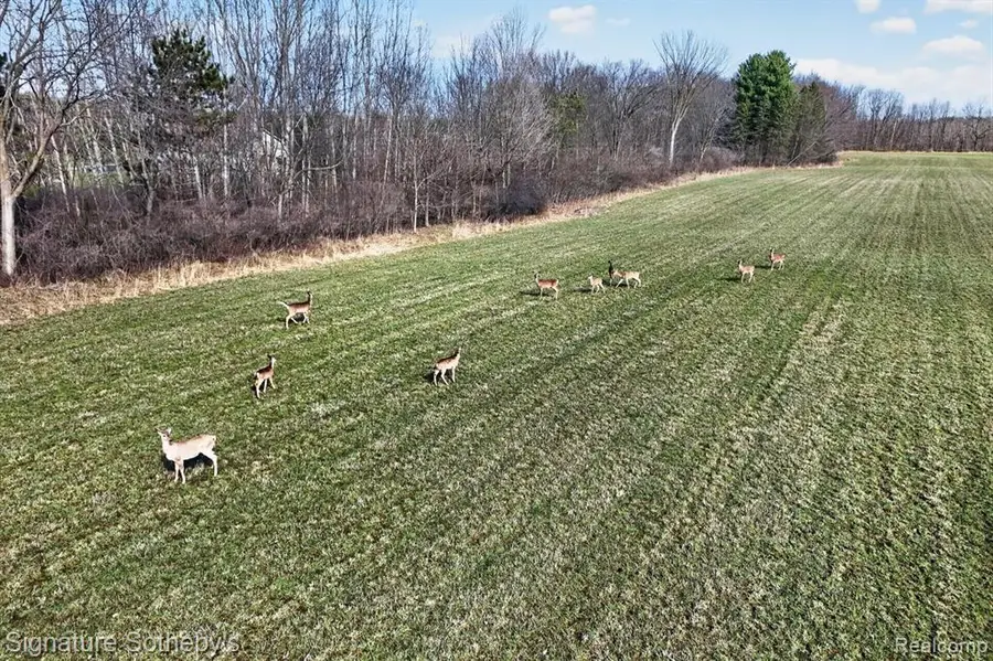 00 Brigham, Goodrich, MI 48438 - #3