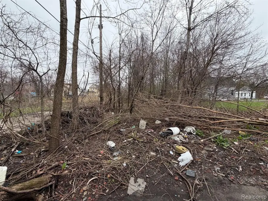 2540 W Forest, Detroit, MI 48208 - #2