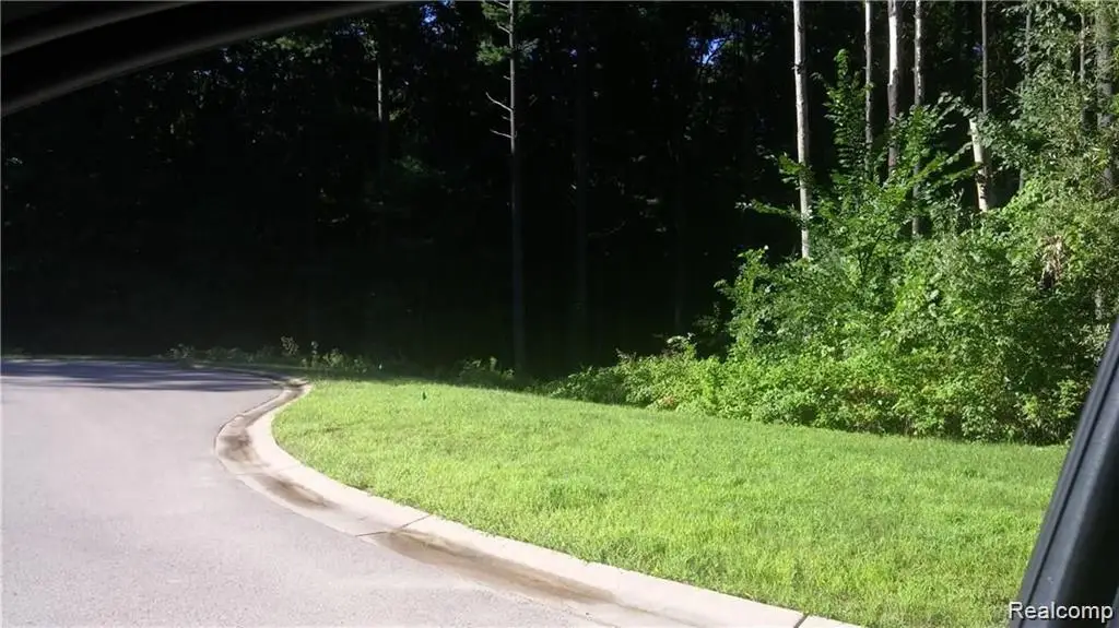 81 Mystic Pines Ct, Pinckney, MI 48169 - #1