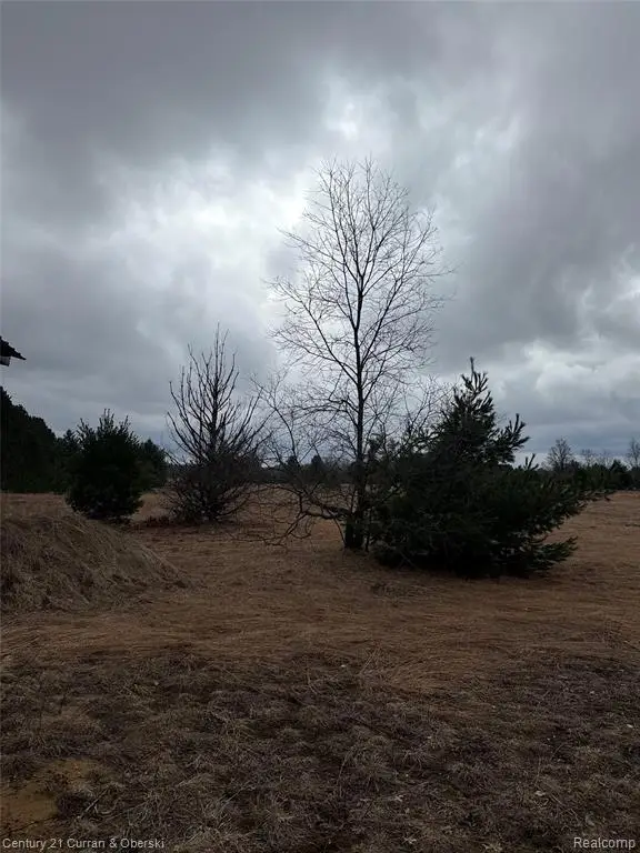 00000 Vroom Rd Sw, South Boardman, MI 49680 - #1