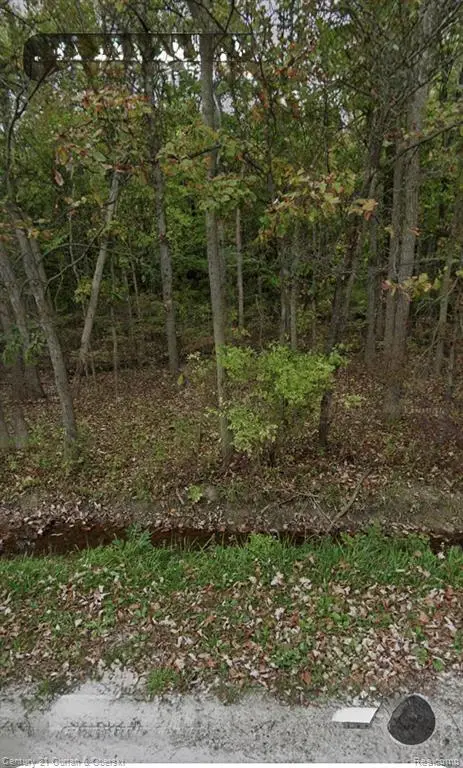 24661 28 Mile, Ray, MI 48096 - #1