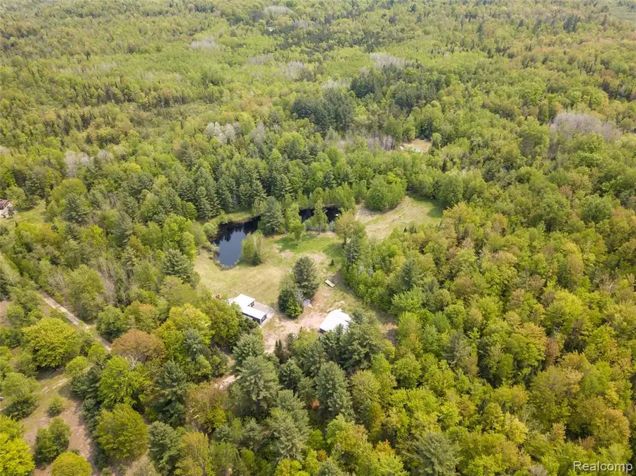 5960 N Trail, Kalkaska, MI 49646 - #3