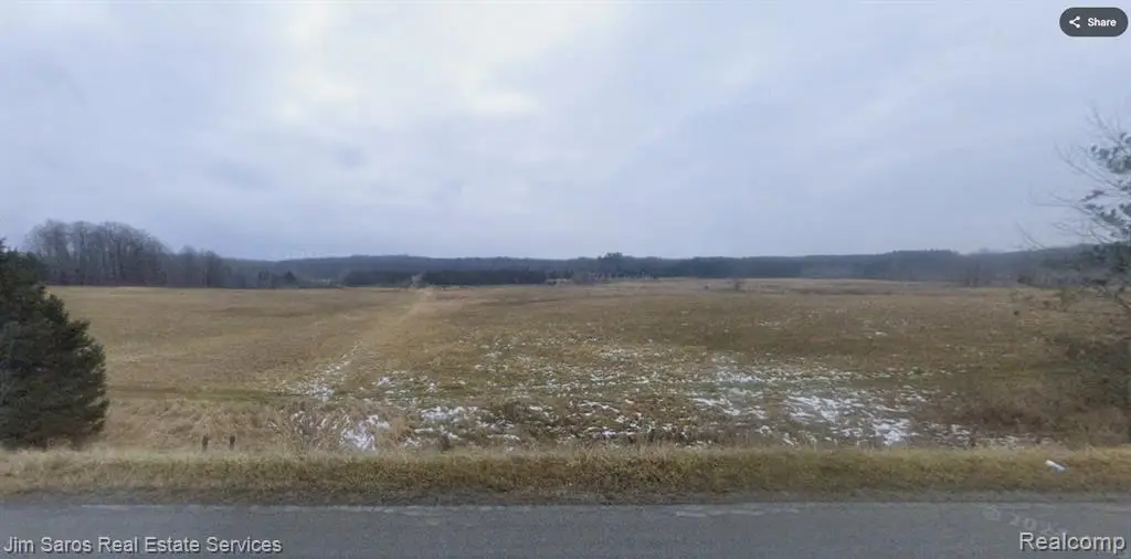 4771 E County Line, South Branch, MI 48761 - #1