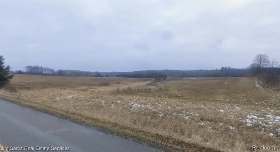 4771 E County Line, South Branch, MI 48761 - #2