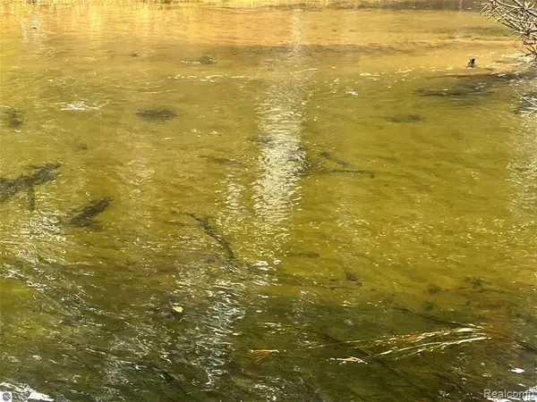 6051 N Manistee River, Frederic, MI 49733