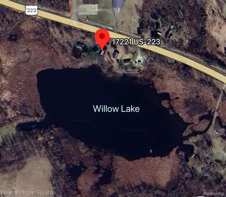 17221 W Us Highway 223, Addison, MI 49220 - #3