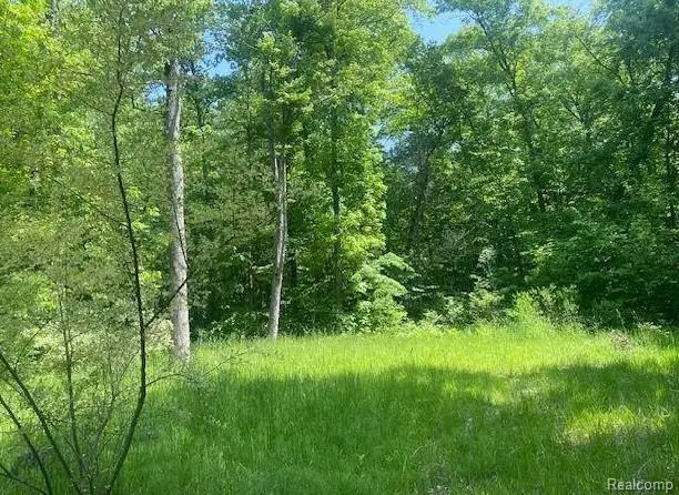 Parcel 2 & 4 Deadwood, Brighton, MI  - #2