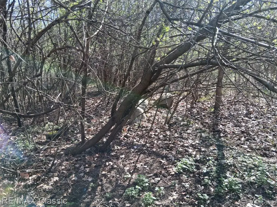 28375 Schroeder, Farmington, MI 48331 - #2