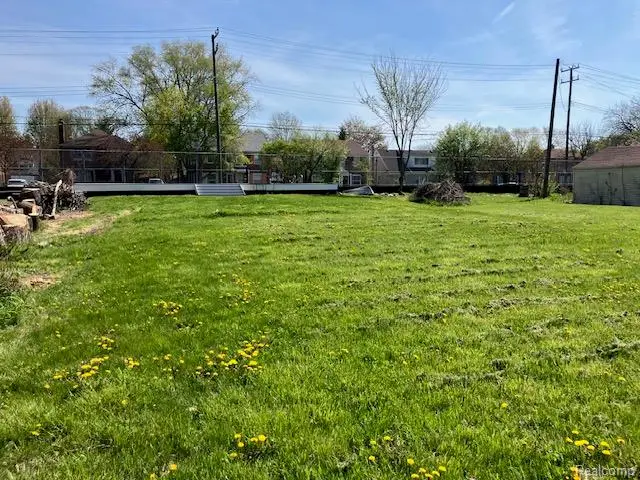 666 Ashland, Detroit, MI 48215 - #2