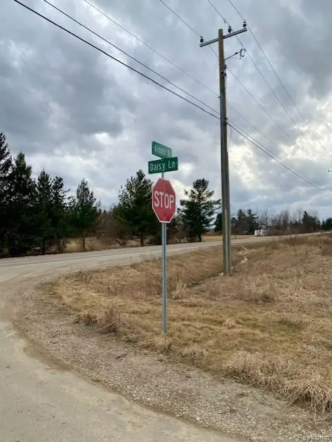 0005B Daisy Lane, Almont, MI 48003 - #2