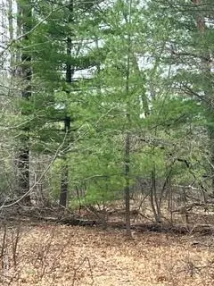 000 Otter, Alger, MI 48610 - #1