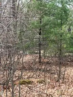 000-303 Otter, Alger, MI 48610 - #1