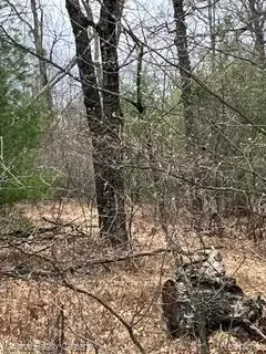 000-302 Otter, Alger, MI 48610 - #1