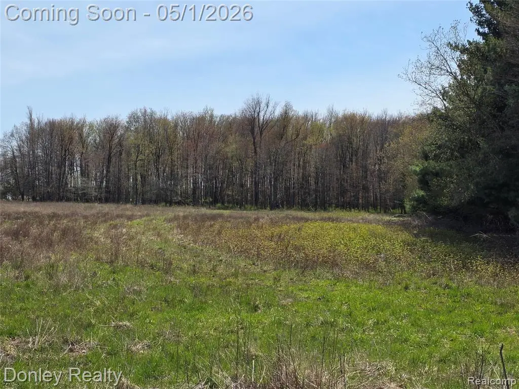 V/L Hyde, Carsonville, MI 48419 - #1