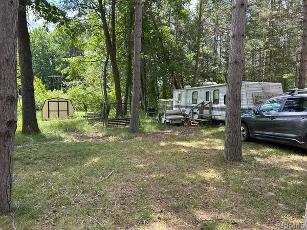 2221 #305 Grass Lake, Lake, MI 48632